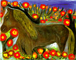 Mi Caballo (My Pony)