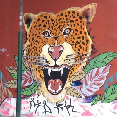 Jaguar... Jaguar...
