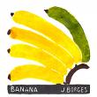 Banana - José Francisco Borges