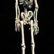 El Fotografo Calavera - articulated skeleton