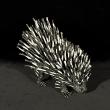 Porcupine by Kioko Mwitiki