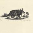 "ISINKUA" (armadillo)