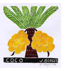 Coco  - José Francisco Borges 