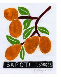 Sapoti - José Francisco Borges