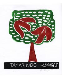 Tamarindo (2006)