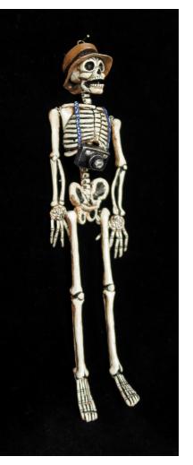 El Fotografo Calavera - articulated skeleton