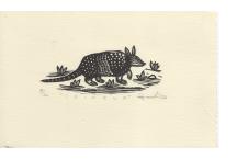 "ISINKUA" (armadillo)