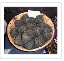 Balls of raw indigo plant, used for dyeing. (Photograph © Anthony Hart Fisher 2011).