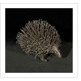 Hedgehog by Kioko Mwitiki