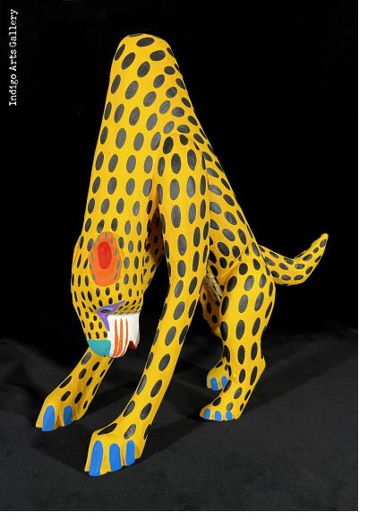 Chita Amarillo (yellow cheetah)