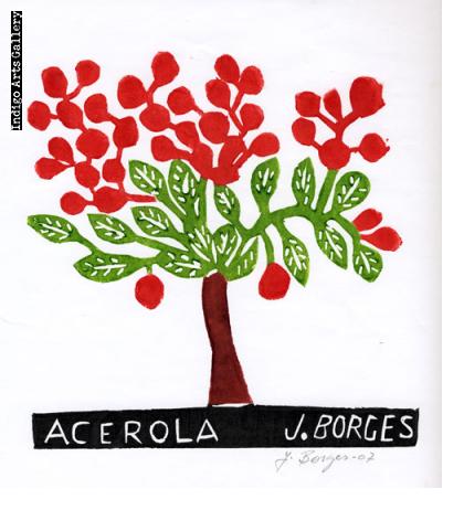 José Francisco Borges | Indigo Arts