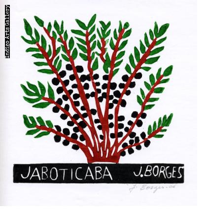 Jaboticaba - José Francisco Borges