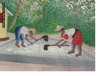 Michaelle Obin Cotton Harvest