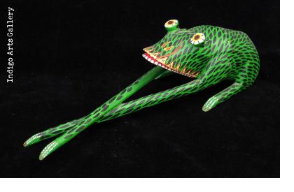 Long-legged Frog from Oaxaca