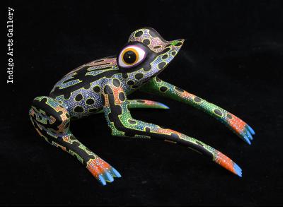 Spotted Frog from Oaxaca